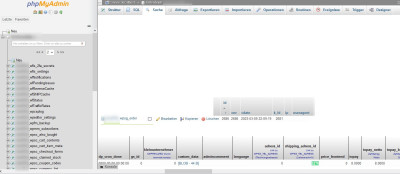 Screenshot MySQL-Datenbank